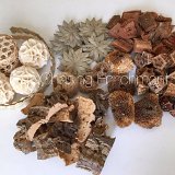 The Natural Flock Box by Chasing Enrichment
