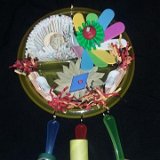 Busy Plate - Quaker/Conures