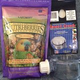 'Berries & Bowl
