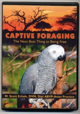captiveforaging.jpg - Captive Foraging DVD