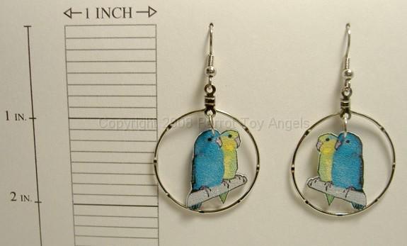 f_parrotlets-2-hp.jpg - Blue & Yellow Parrotlet Earrings