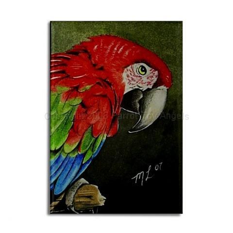 macawmagnet.jpg - Macaw Magnet