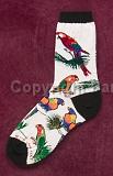 Socks-ParrotPalmA